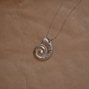 Nautilus