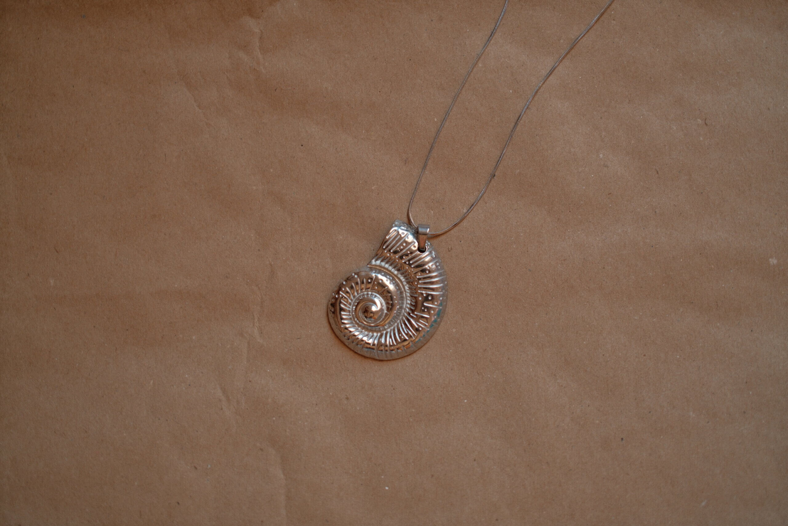 Nautilus - Imagen 2