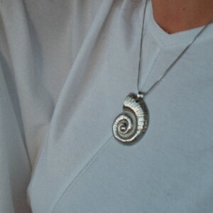 Nautilus