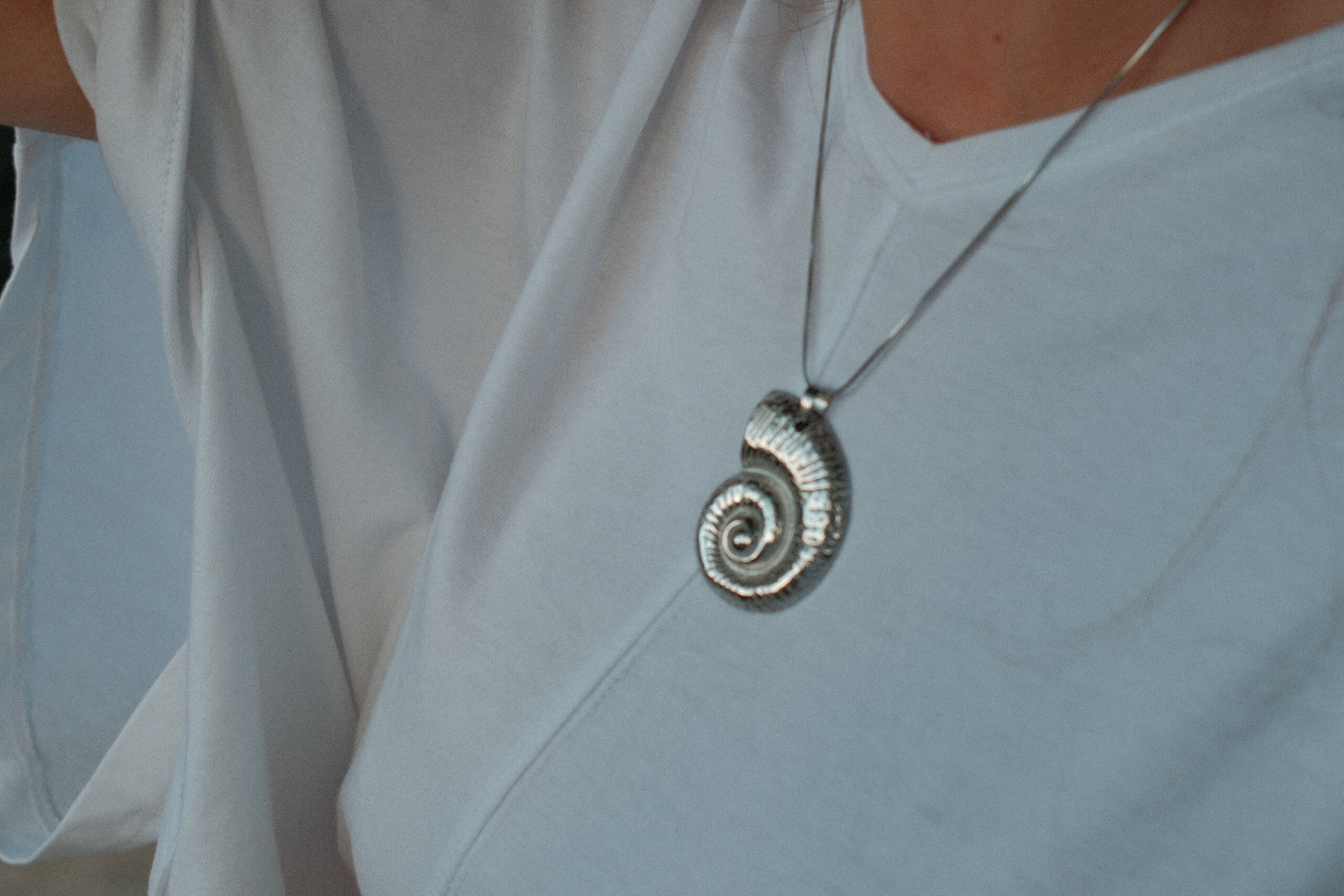 Nautilus